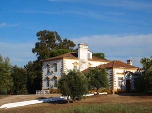 Quinta Dos Ribeiros | Alpalhao