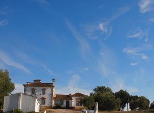 Quinta Dos Ribeiros | Alpalhao