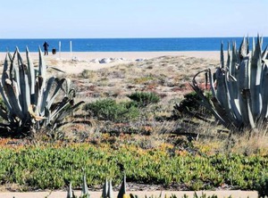Résidence Maisons La Mer Pour Personnes | Port Leucate