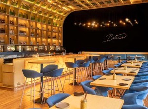 Radisson Blu Hotel City Centre | Egmore