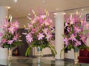 Hotel | Connaught Place