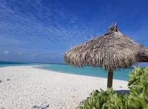 Rasdhoo Lilac Stay | Rasdhoo