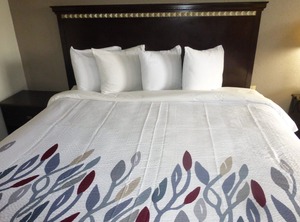 Red Roof Inn Evergreen | Evergreen