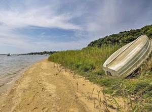 Cape Cod Beach Downtown | Teaticket