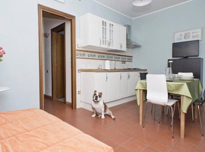 Residence Pistoia D | Castagno