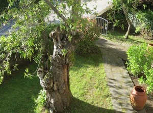 Residence Pistoia D | Castagno