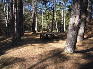 Attico Residence Selva Dei Pini | Lama Mocogno