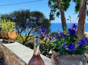 Residence Villa | Favone