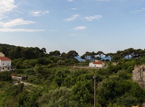Villa Dalmatia Garden | Kolocep Island