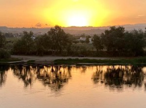 River Ebro | Mora d'Ebre