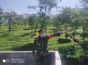 Homestay Seroja | Wonosobo