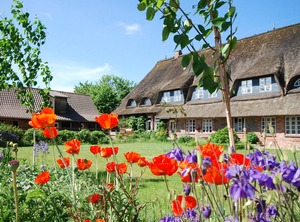 Charm Thatch The Farmhouse | Bosdorf