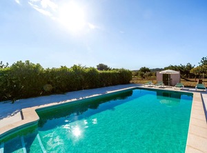 Villa Tabo | Selva