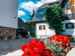 Rustic Inn River | Prijeboj