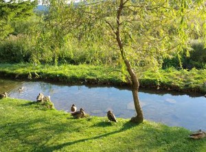 Rustic Inn River | Prijeboj