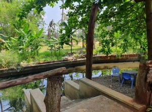 Ruwinsons Canal Garden | Thalawa
