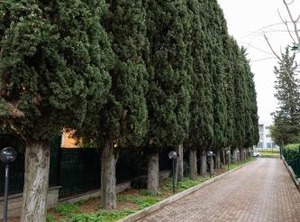 Hotel | Suburbio IX Aurelio