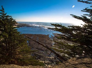 Seal Cove Inn | Moss Beach