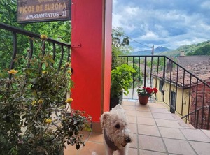 Self Catering Aptos Rurales Camino Picos People | Soto de Cangas