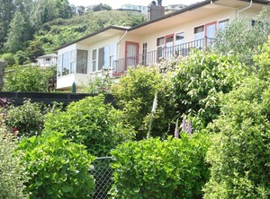 Arapiki Homestay | Stoke