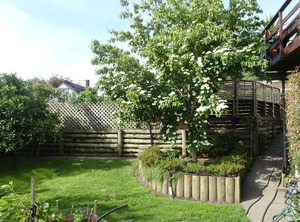 Arapiki Homestay | Stoke