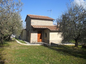 Selva Degli Ulivi | Foiano della Chiana