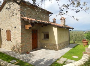 Selva Degli Ulivi | Foiano della Chiana