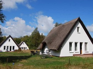 Terrace Hiddensee At Vitte | Hiddensee