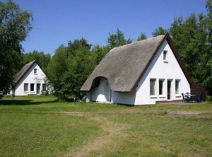 Terrace Hiddensee At Vitte | Hiddensee