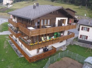 Silberdistel | Saas Grund