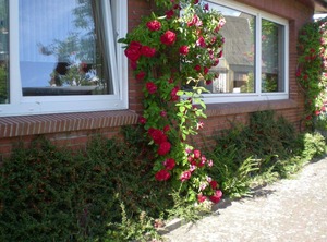 Haus Village Pension | Suderstapel