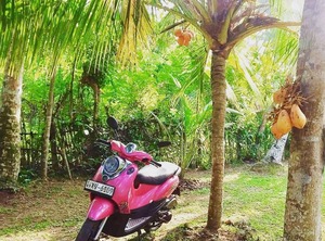 Sinhagiri Villa Midigama | Midigama