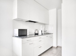 Hegenheimerstrasse Basel | Iselin