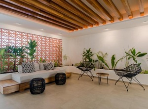 Solea | Gonzalo Guerrero