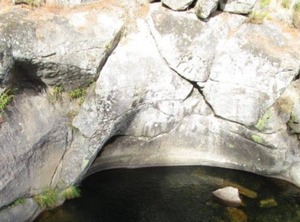 Source Plant | Poyales del Hoyo