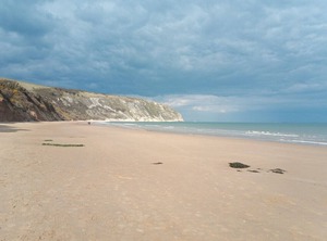 Sparrow Cottage Swanage | Swanage