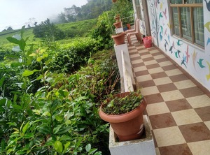 Holidays Chithirapuram Munnar | Chithirapuram
