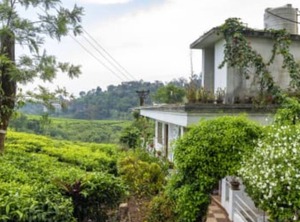 Holidays Chithirapuram Munnar | Chithirapuram