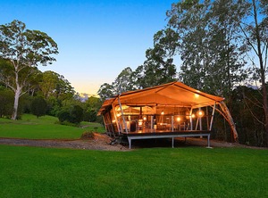 Nights Camping Special | West Woombye