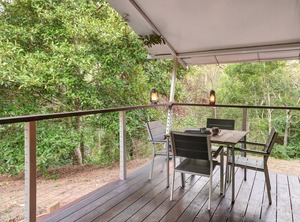 Nights Camping Special | West Woombye