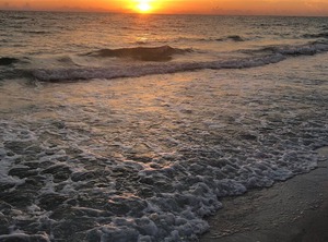 Smuggler Cove Resort Bradenton Beach | Whitney Beach