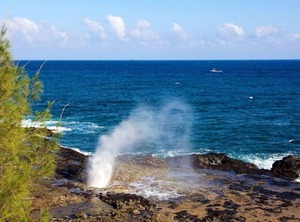Hale Kahanalu | Poipu