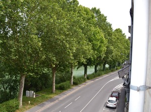 Escale À Épernay | Epernay