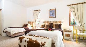 Storms River Lodge | Storms River