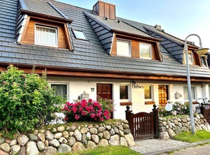 Strandiris | Wenningstedt-Braderup