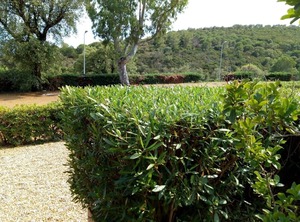 Les Jardins Mer | Cavalaire-sur-Mer