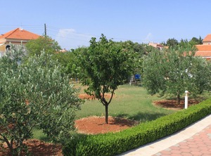 Terrace Sušica Ugljan | Susica