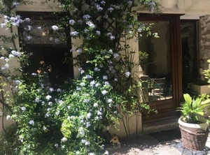 Courtyard Entrance Patio | Lunel