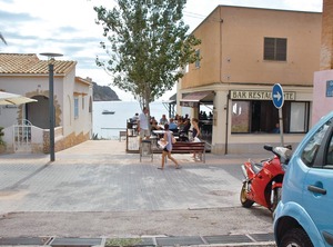 Elm | Sant Elm