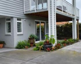 Matua | Tauranga